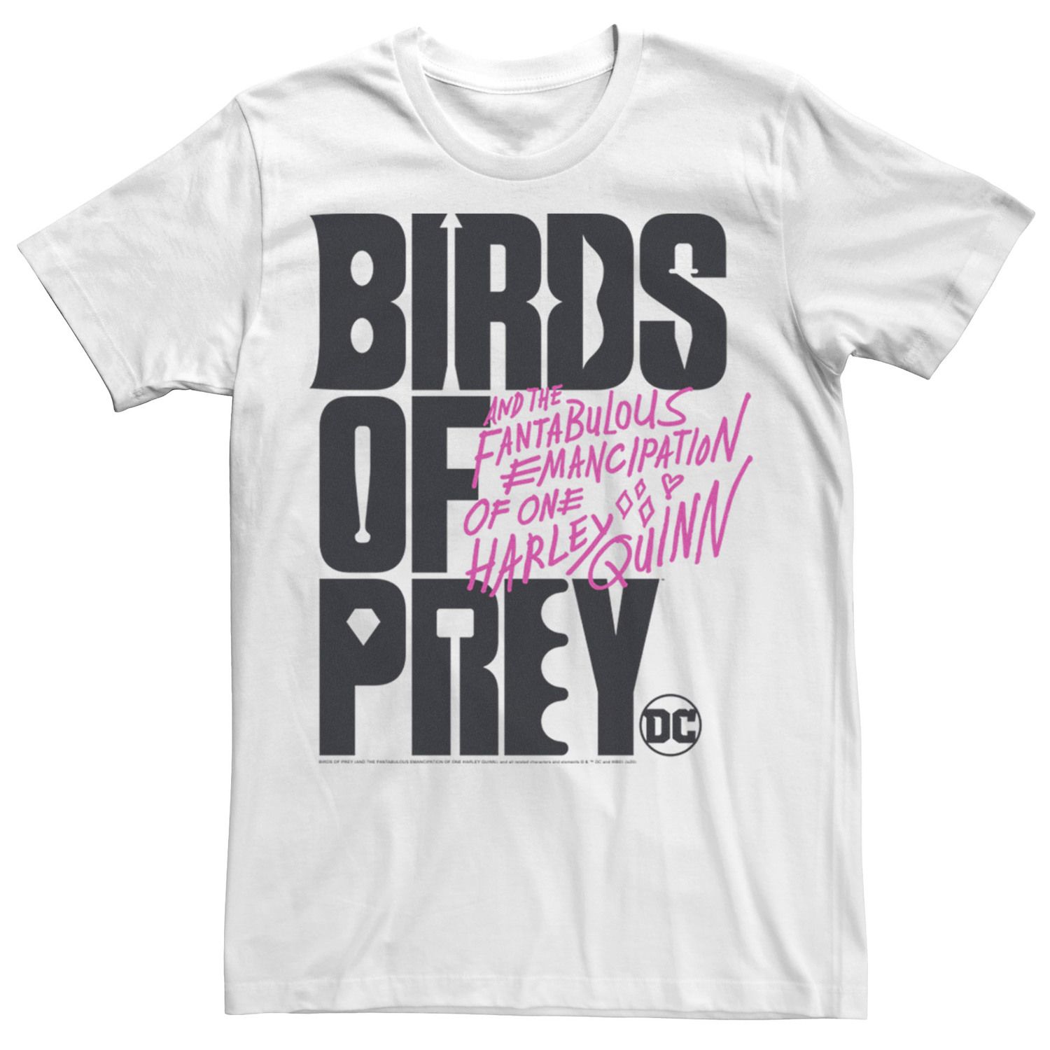 цена Мужская футболка с текстовым логотипом «Хищные птицы» DC Comics