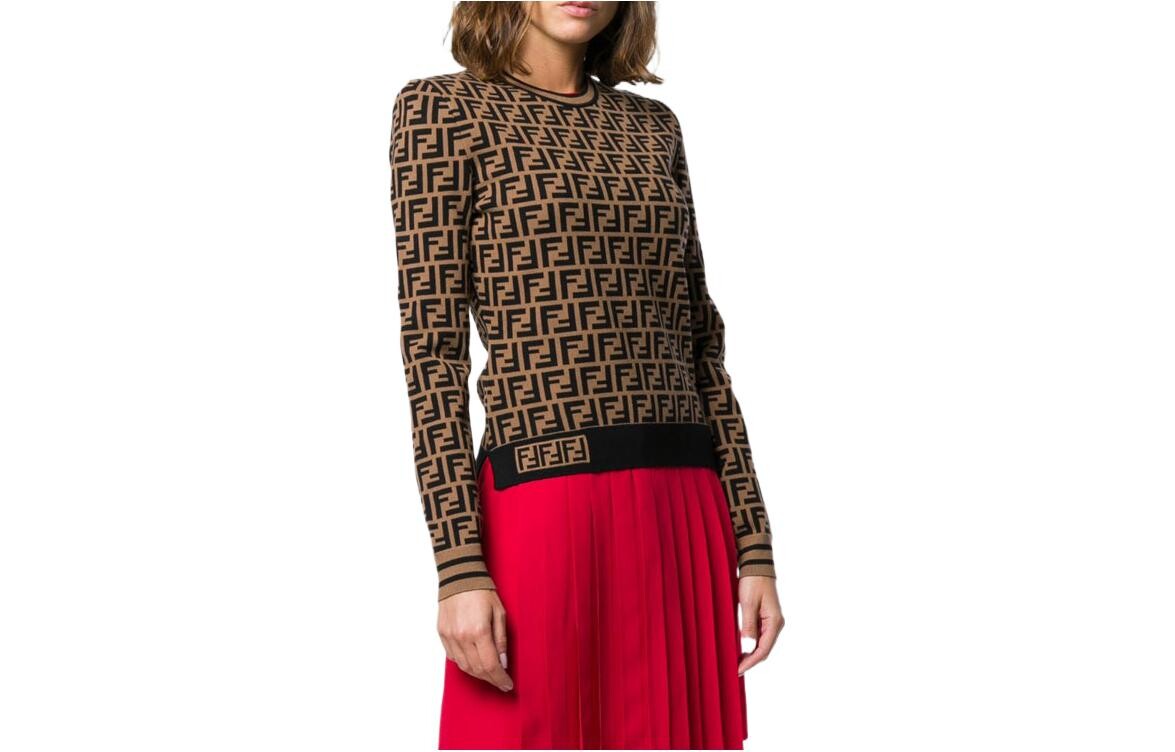 

Свитер FENDI Wmns с круглым вырезом, коричневый