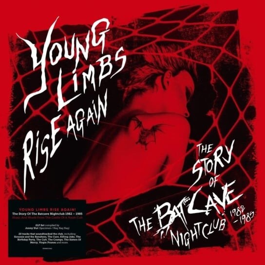 

Виниловая пластинка Various Artists - Young Limbs Rise Again