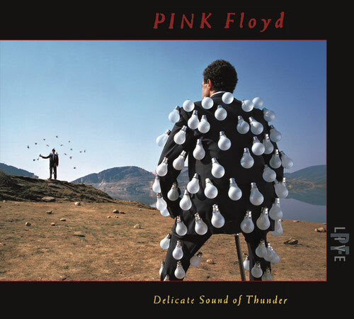 

CD диск Pink Floyd: Delicate Sound Of Thunder (Live)