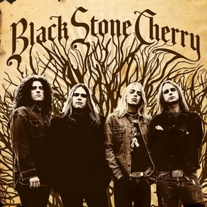 Виниловая пластинка Black Stone Cherry - Black Stone Cherry
