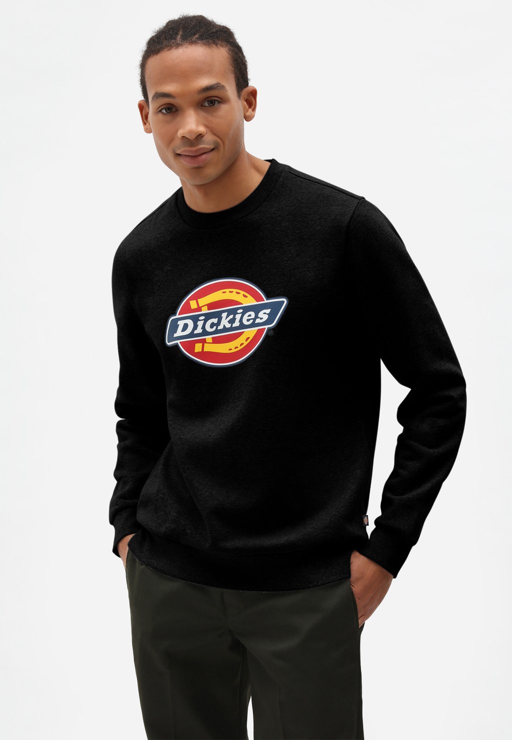 

Толстовка Dickies