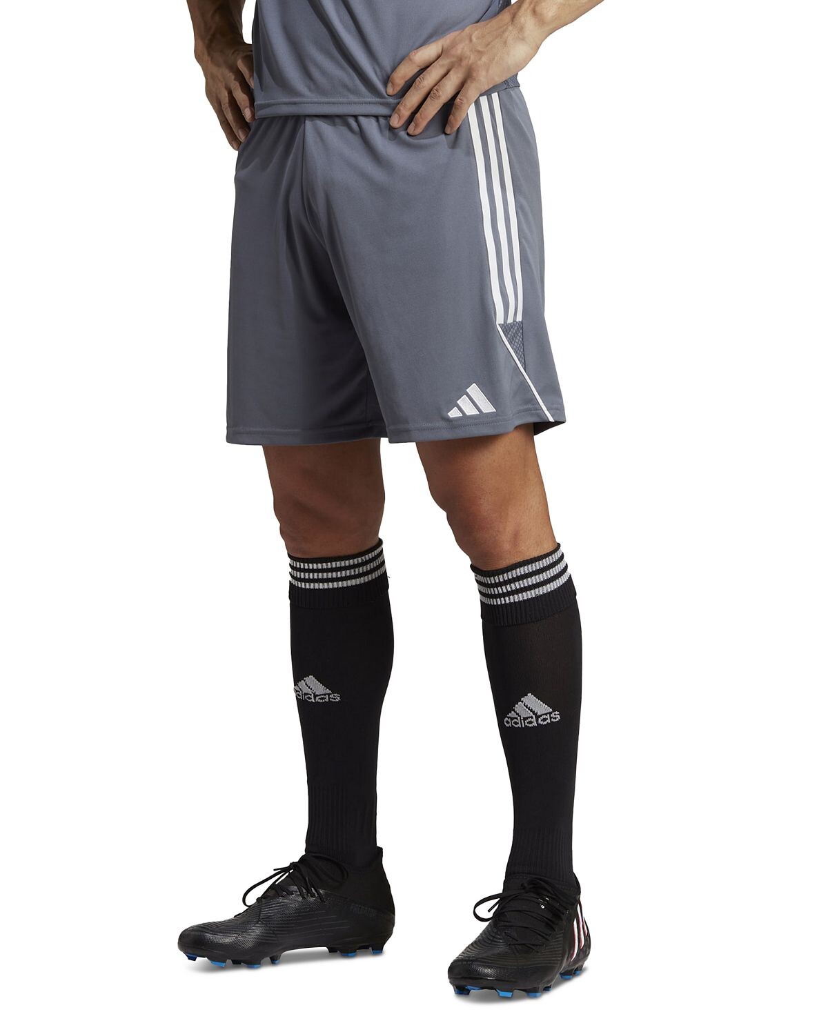 

Мужские шорты Tiro 23 Performance League adidas