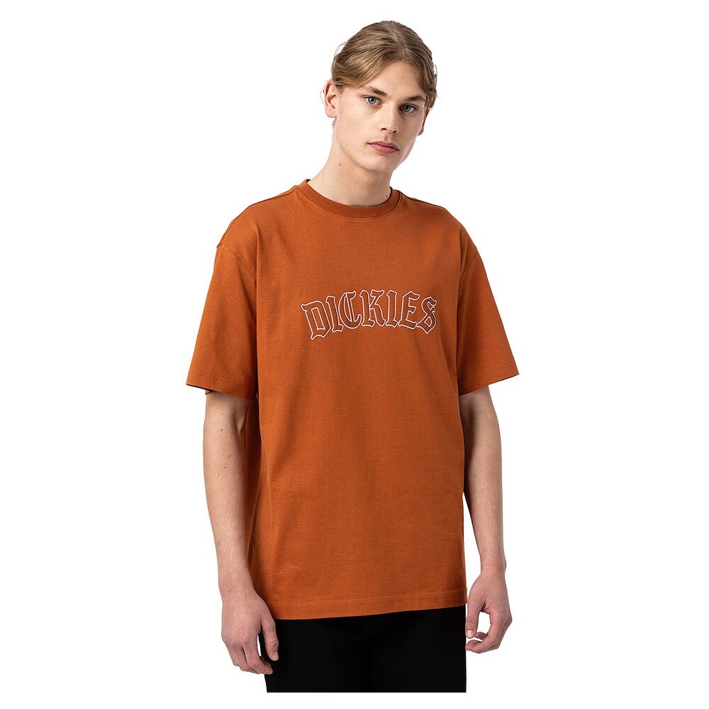 

Футболка Dickies Union Springs, оранжевый