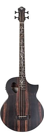 

Басс гитара Michael Kelly Dragonfly 4 Port Acoustic Electric Bass Guitar Java Ebony