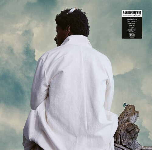 

Виниловая пластинка Labrinth: Imagination & The Misfit Kid