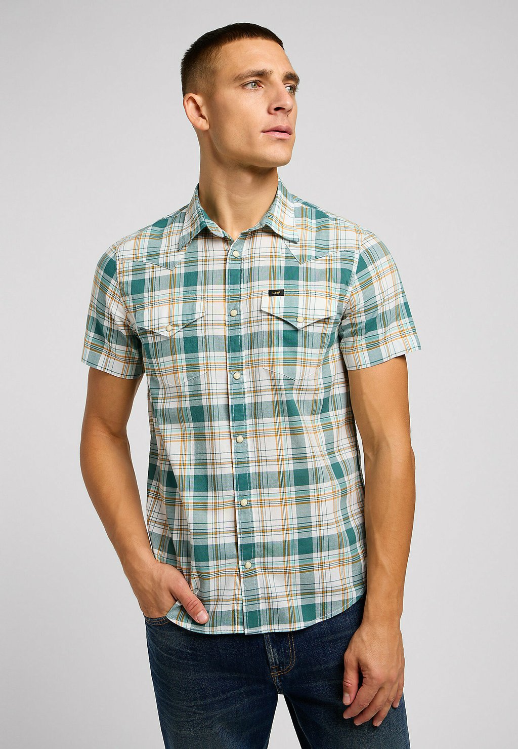 Рубашка Lee, цвет evergreen цена и фото