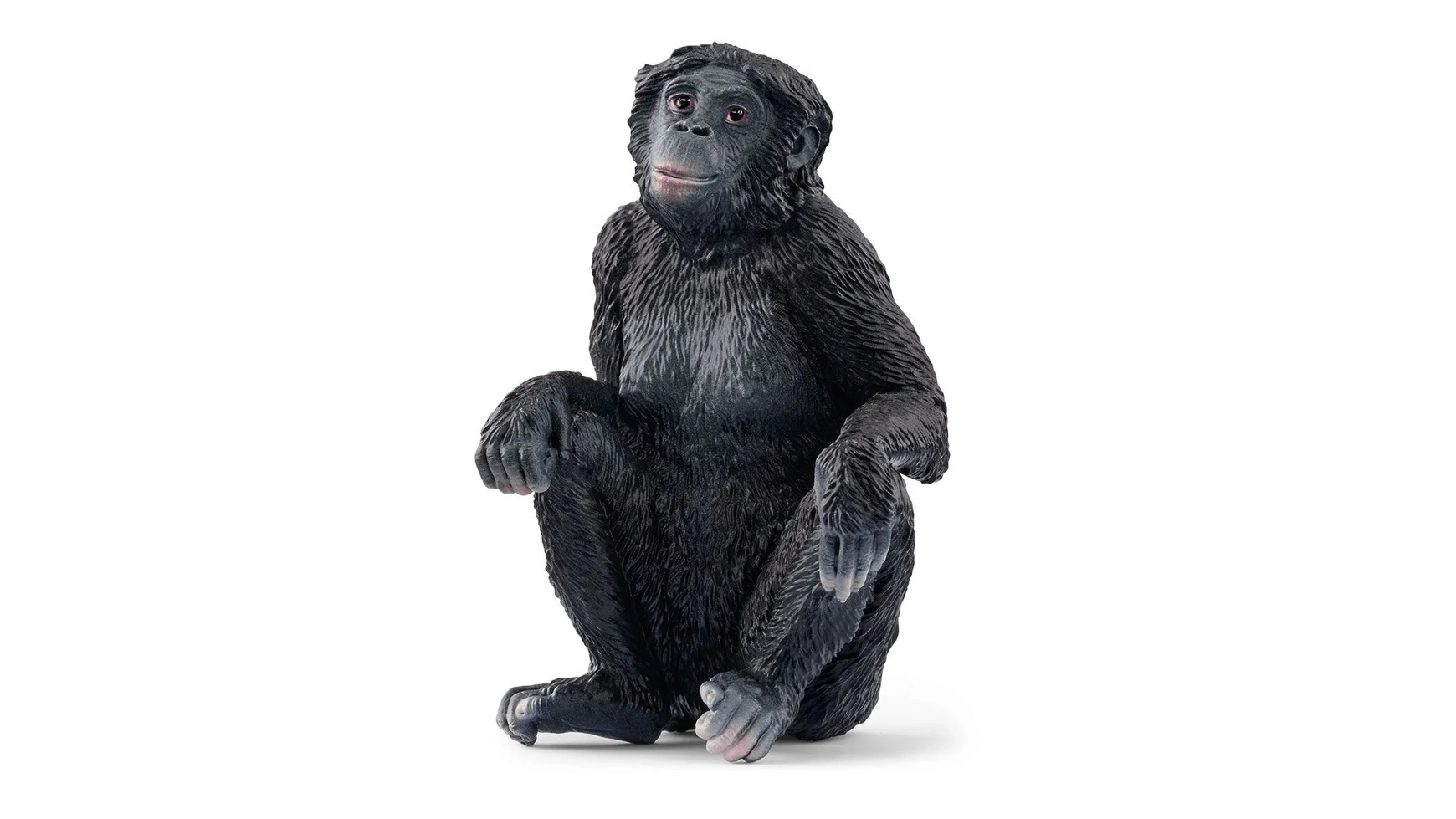 Schleich Wild Life самка бонобо фигурка schleich лабрадор самка 13834 5 см