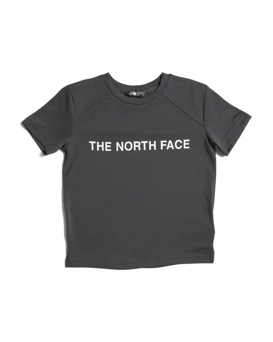 

Футболка Big Boys Never Stop The North Face, серый