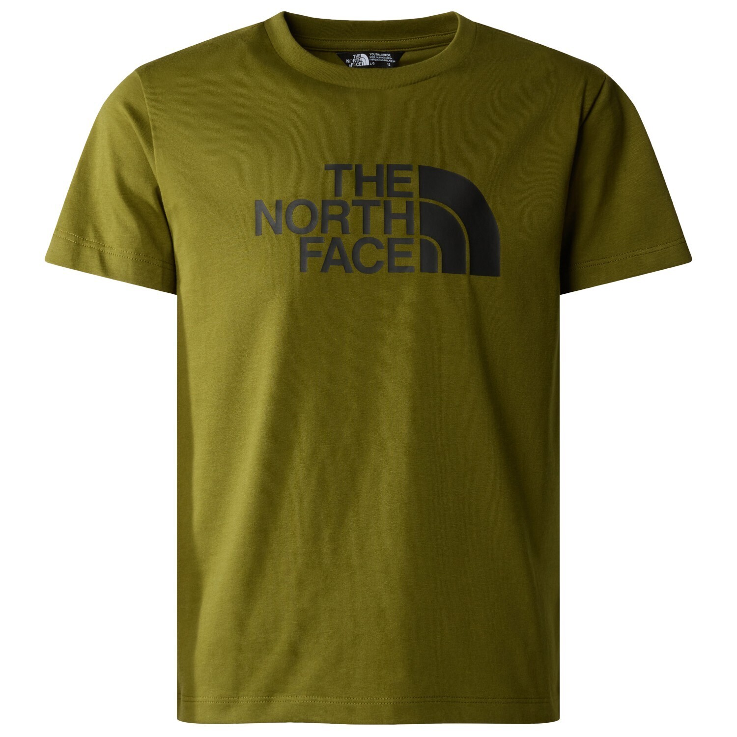 

Футболка The North Face Boy's S/S Easy Tee, цвет Forest Olive