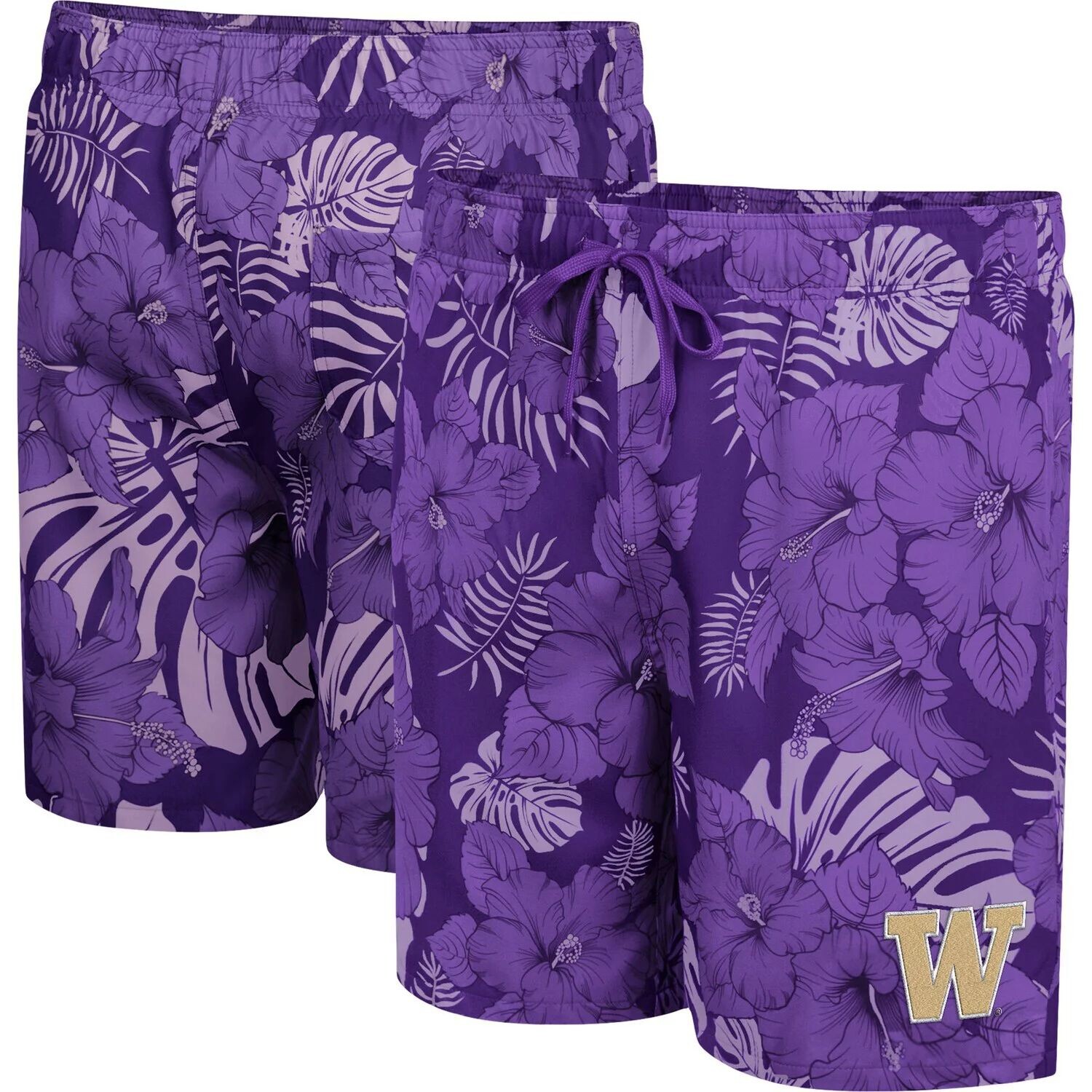 

Мужские шорты для плавания Colosseum Purple Washington Huskies The Dude