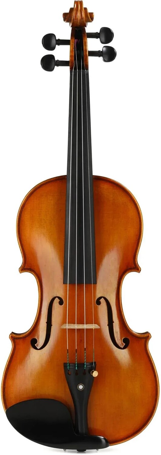 

Скрипка Howard Core DR30 Dragon — старинный теплый янтарь, размер 4/4
