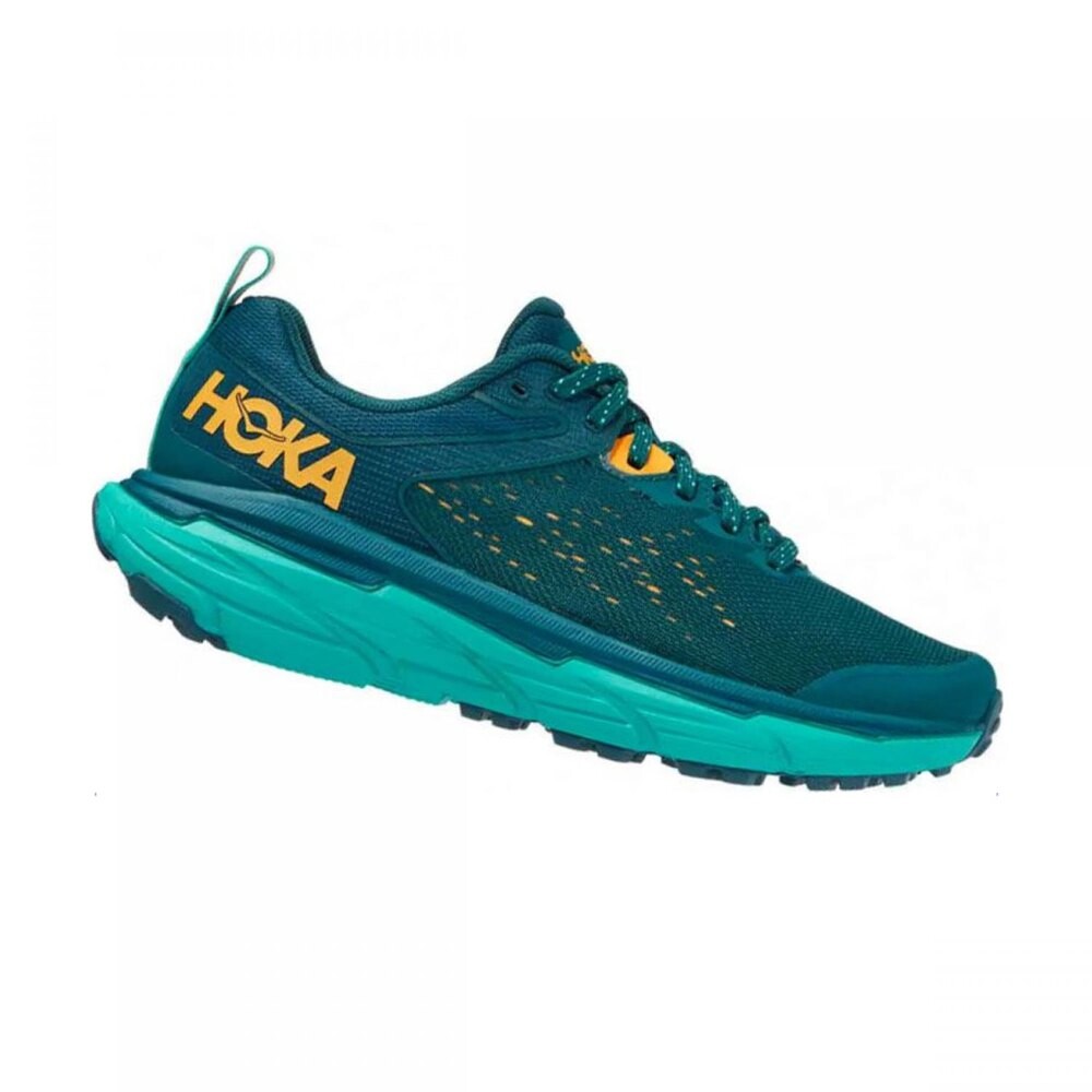 

Кроссовки Hoka Challenger All Terrain 6 Trail, синий