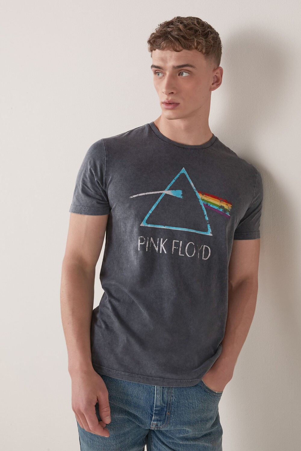

Футболка Pink Floyd с принтом Next, серый