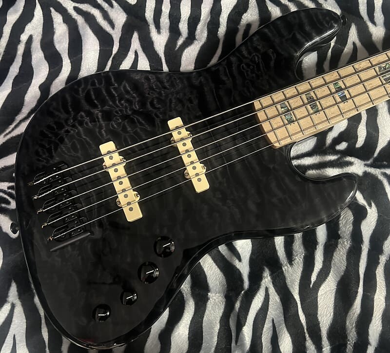 

Басс гитара Spector Coda 5 USA Custom Shop - Black Stain Gloss - Authorized Dealer