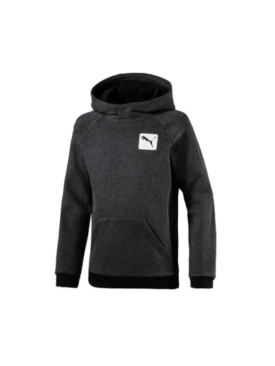 

Толстовка regular fit Puma, серый