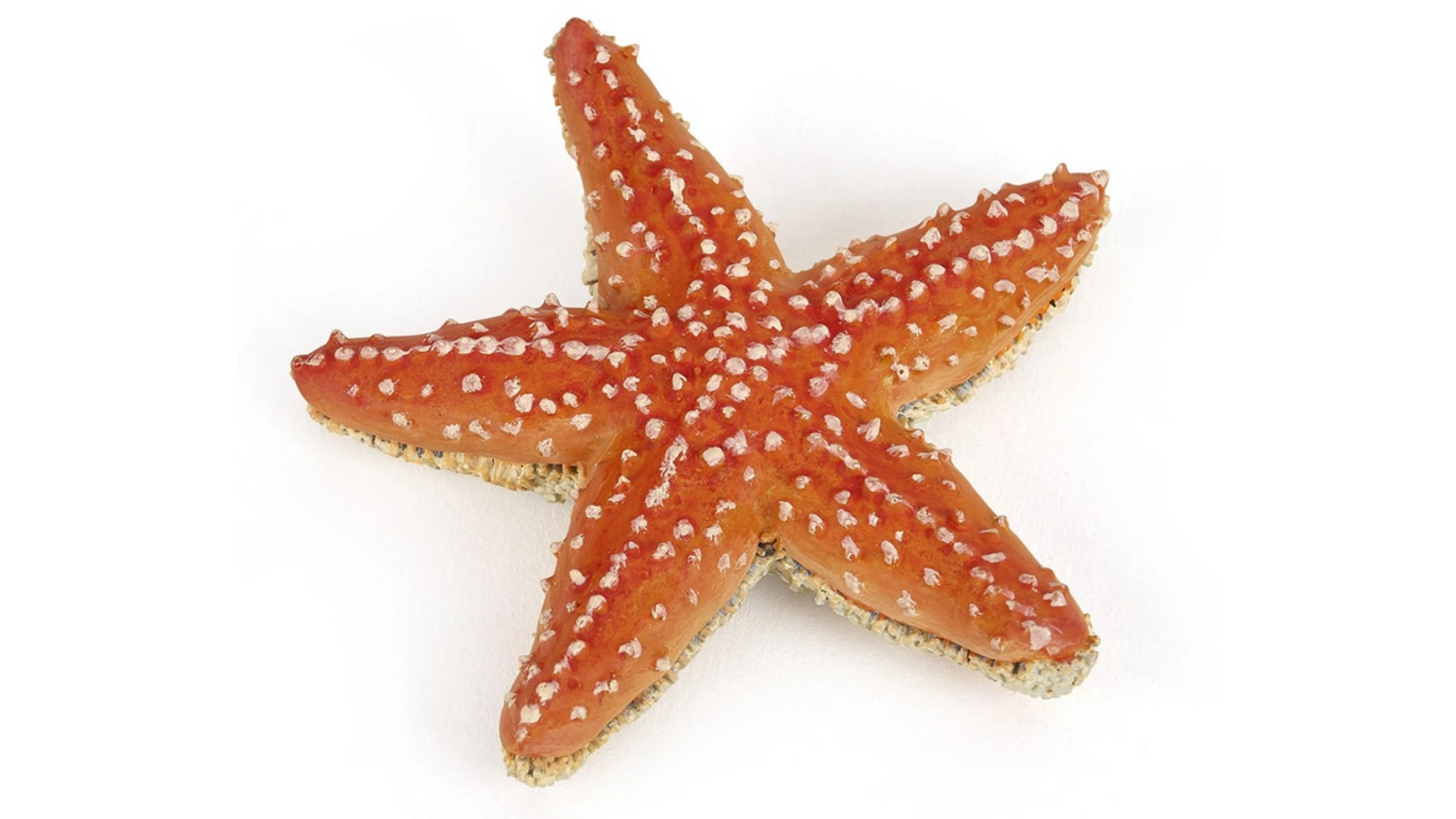 Морская звезда силиконовый чехол желтая морская звезда на meizu u10 мейзу ю10