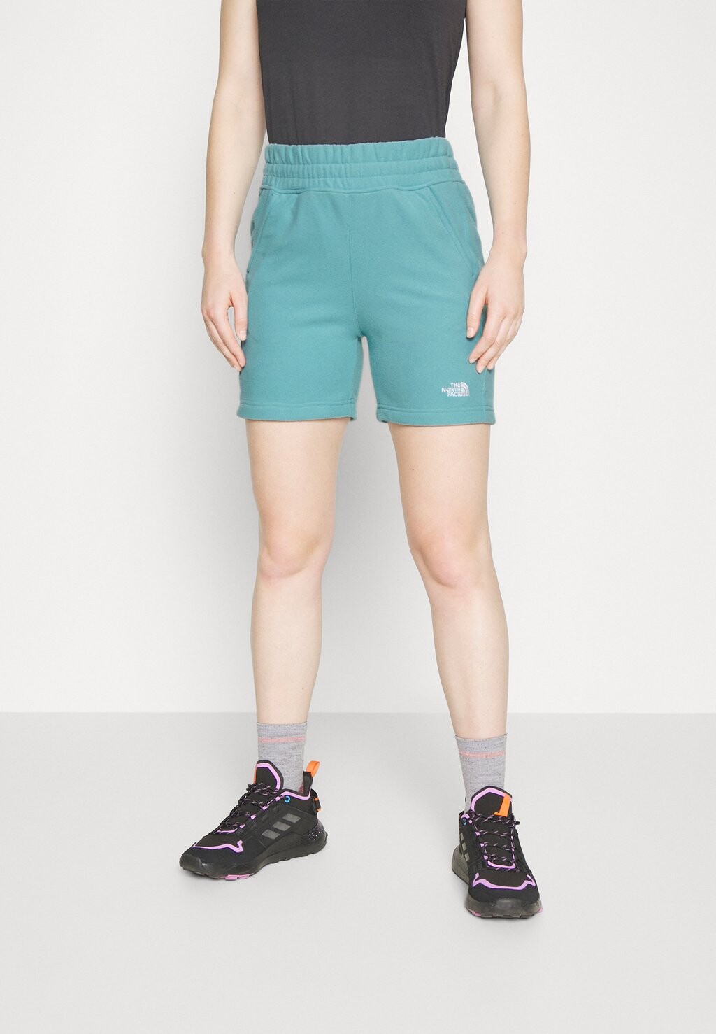 

Спортивные шорты The North Face, Синий