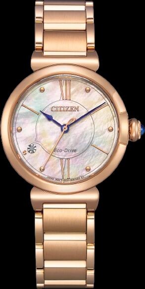 

Часы Citizen EM1073-85Y