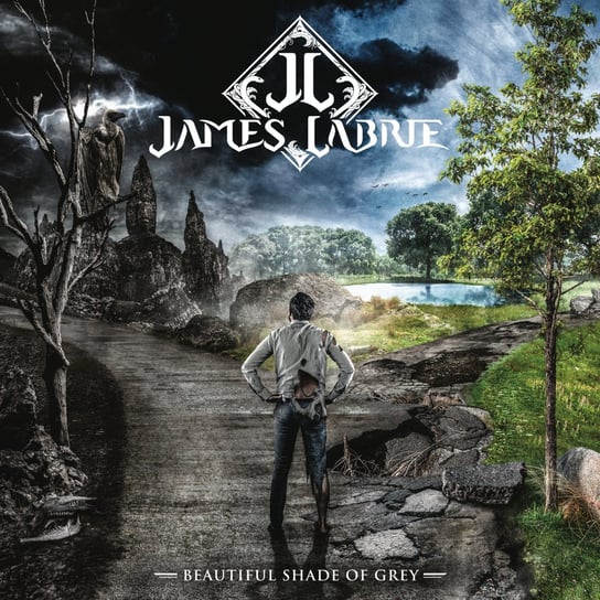 Виниловая пластинка Labrie James - Beautiful Shade Of Grey