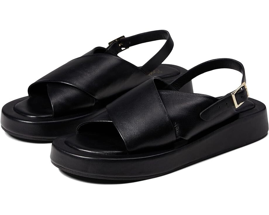 

Сандалии Seychelles Just for Fun, цвет Black Leather