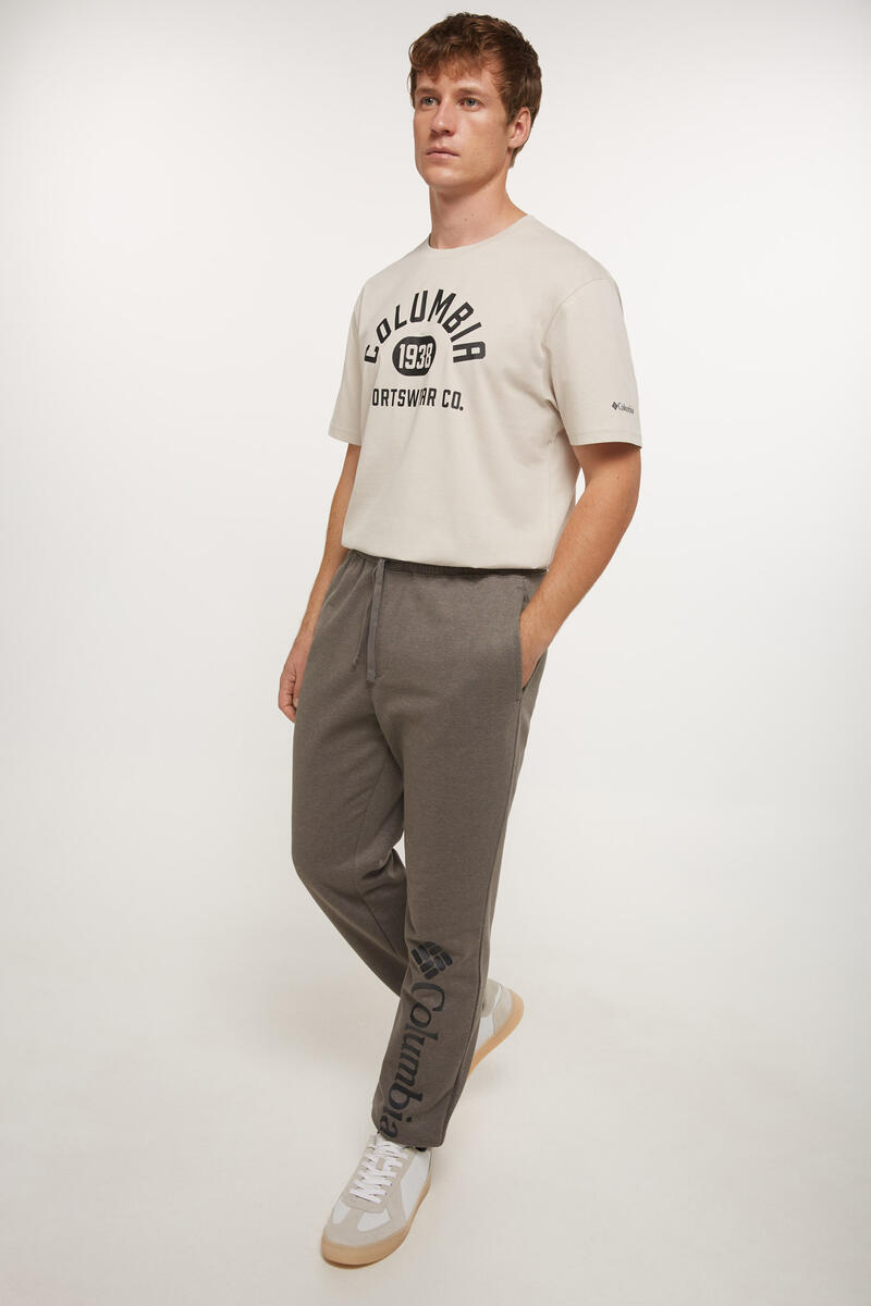Мужские спортивные брюки Columbia Trek Columbia, серый