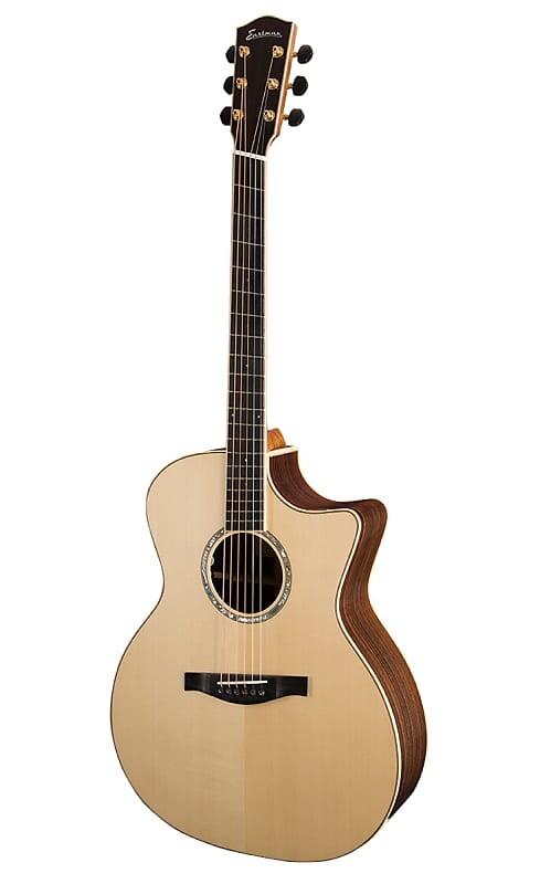 

Акустическая гитара Eastman AC822CE-FF Grand Auditorium Fanned Fret Cutaway A/E Guitar w/ Hardshell Case
