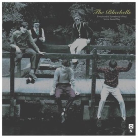 

Виниловая пластинка The Bluebells - Everybody's Somebody's Fool/Some Sweet Day