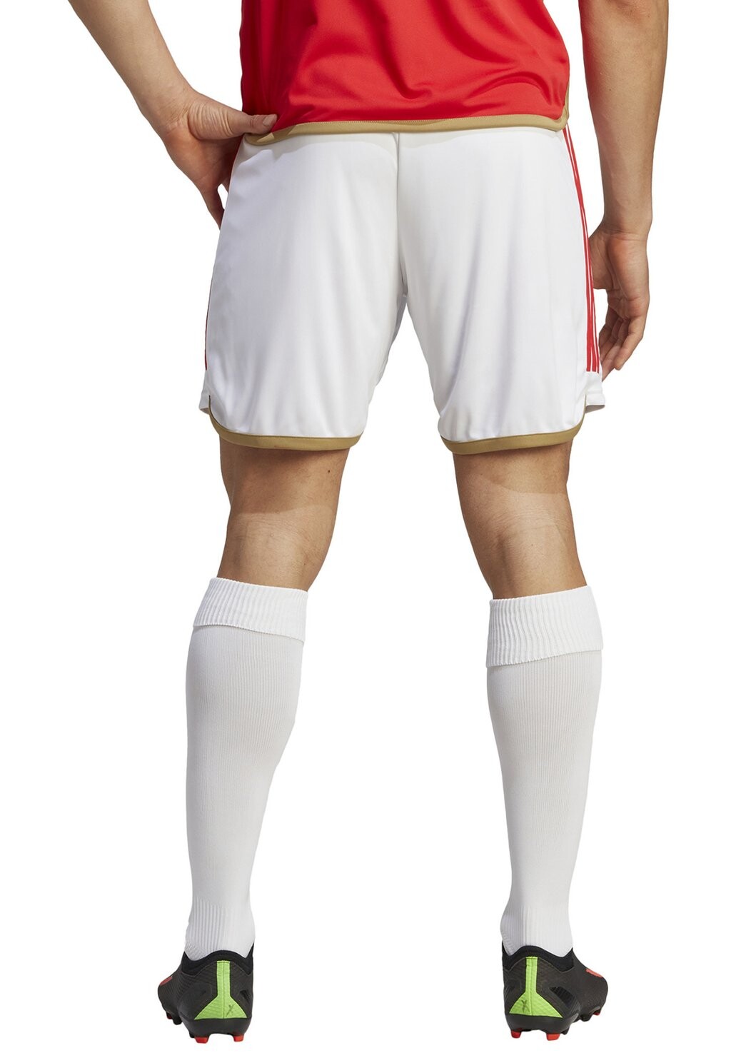 

Спортивные шорты Benfica 23/24 Home Adidas, цвет weiss