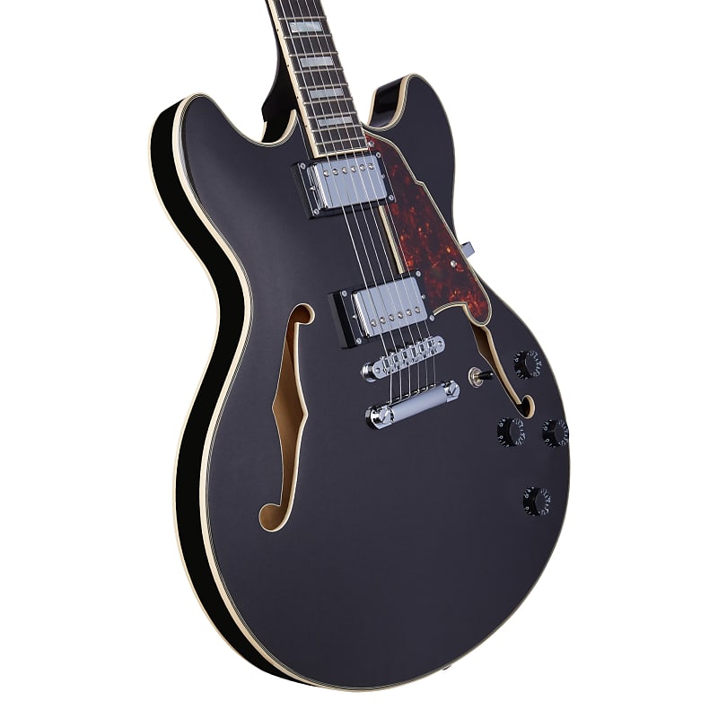 

Электрогитара D'Angelico Premier DC Semi-Hollow Electric Guitar w/Stopbar Tailpiece Black Flake w/Gig Bag, New, Free Shipping