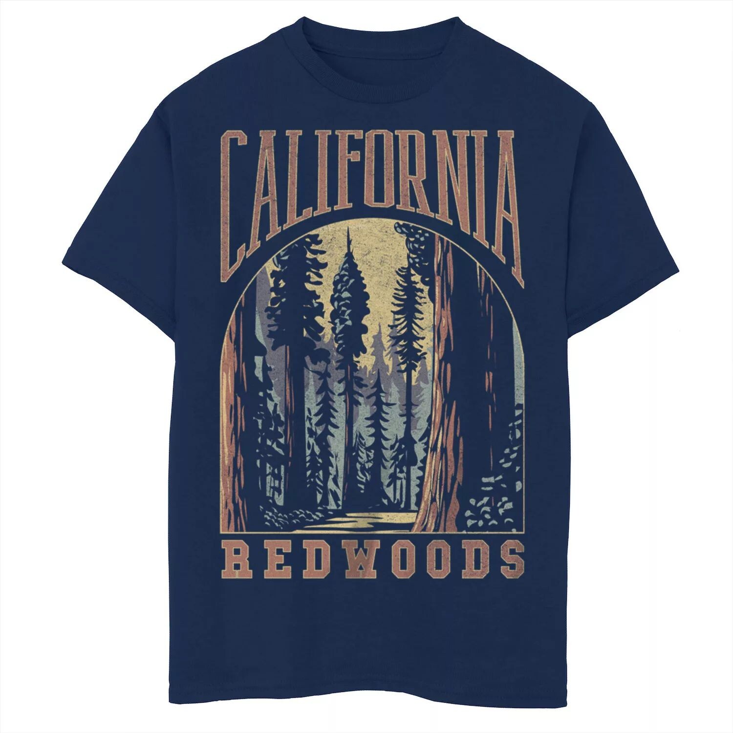 

Футболка с краской California Redwoods для мальчиков 8–20 лет Licensed Character