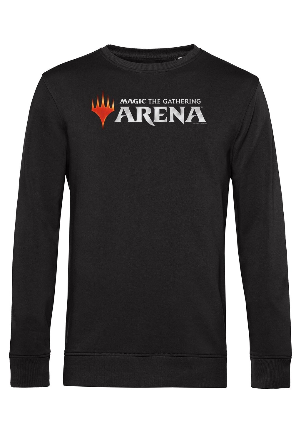 

Толстовка MAGIC THE GATHERING ARENA LOGO Henry Tiger, черный