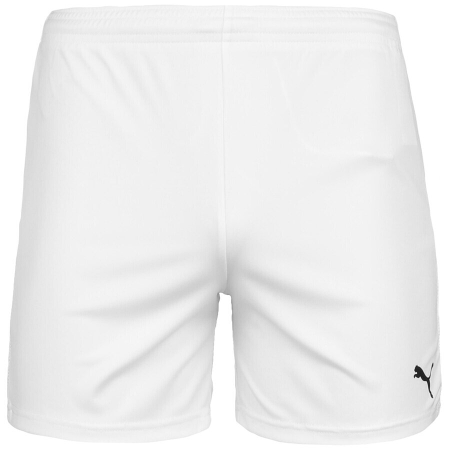 

Тренировочные брюки Puma TEAM GOAL 23 KNIT, белый
