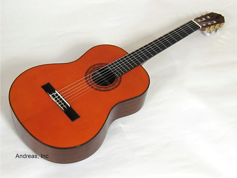 Акустическая гитара Washburn Classical Nylon String Acoustic Guitar - Spruce Top