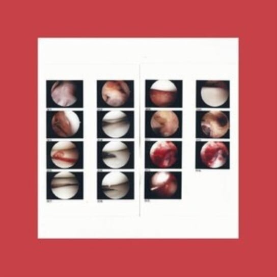 

Виниловая пластинка The Cradle - Laughing in My Sleep