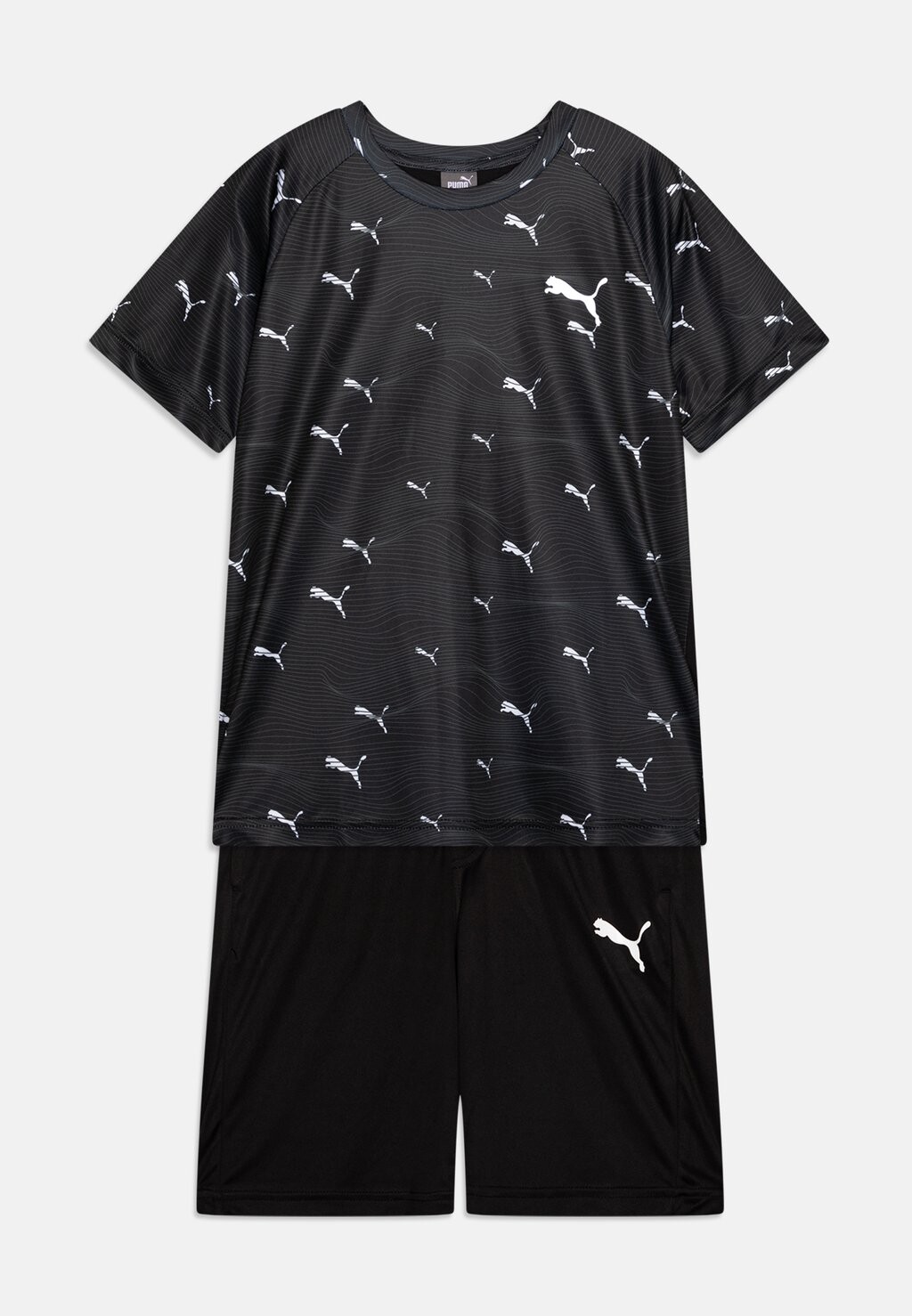 

футболка с принтом Active Sports Unisex Set Puma, черный