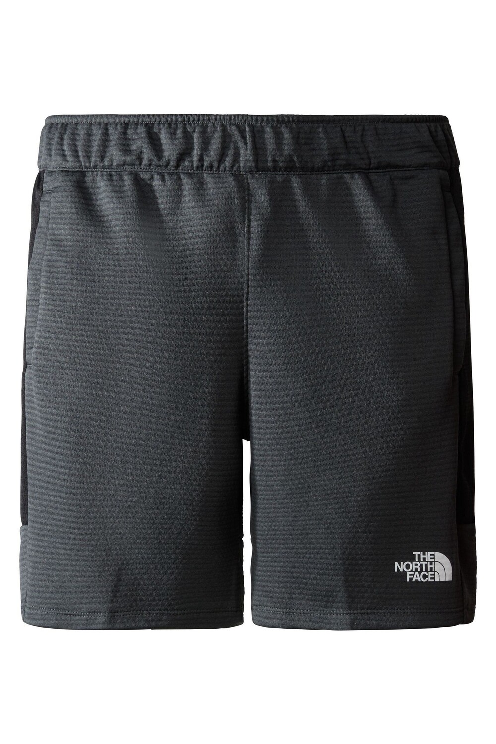 

Флисовые шорты MA The North Face, серый