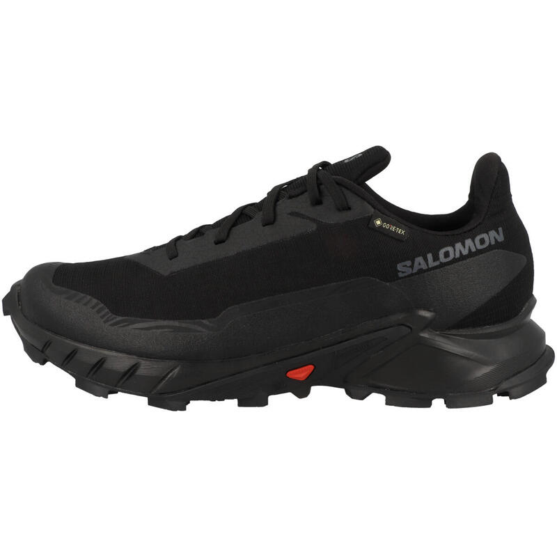 Мужские кроссовки Alphacross 5 GTX SALOMON, цвет schwarz
