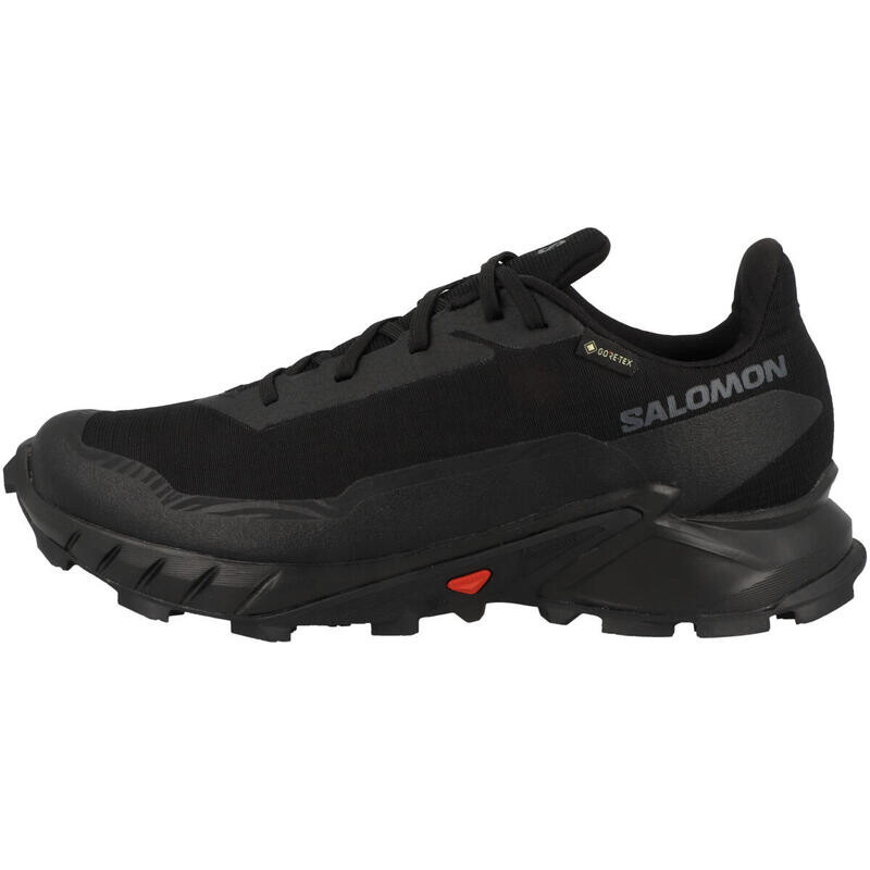 

Мужские кроссовки Alphacross 5 GTX SALOMON, цвет schwarz