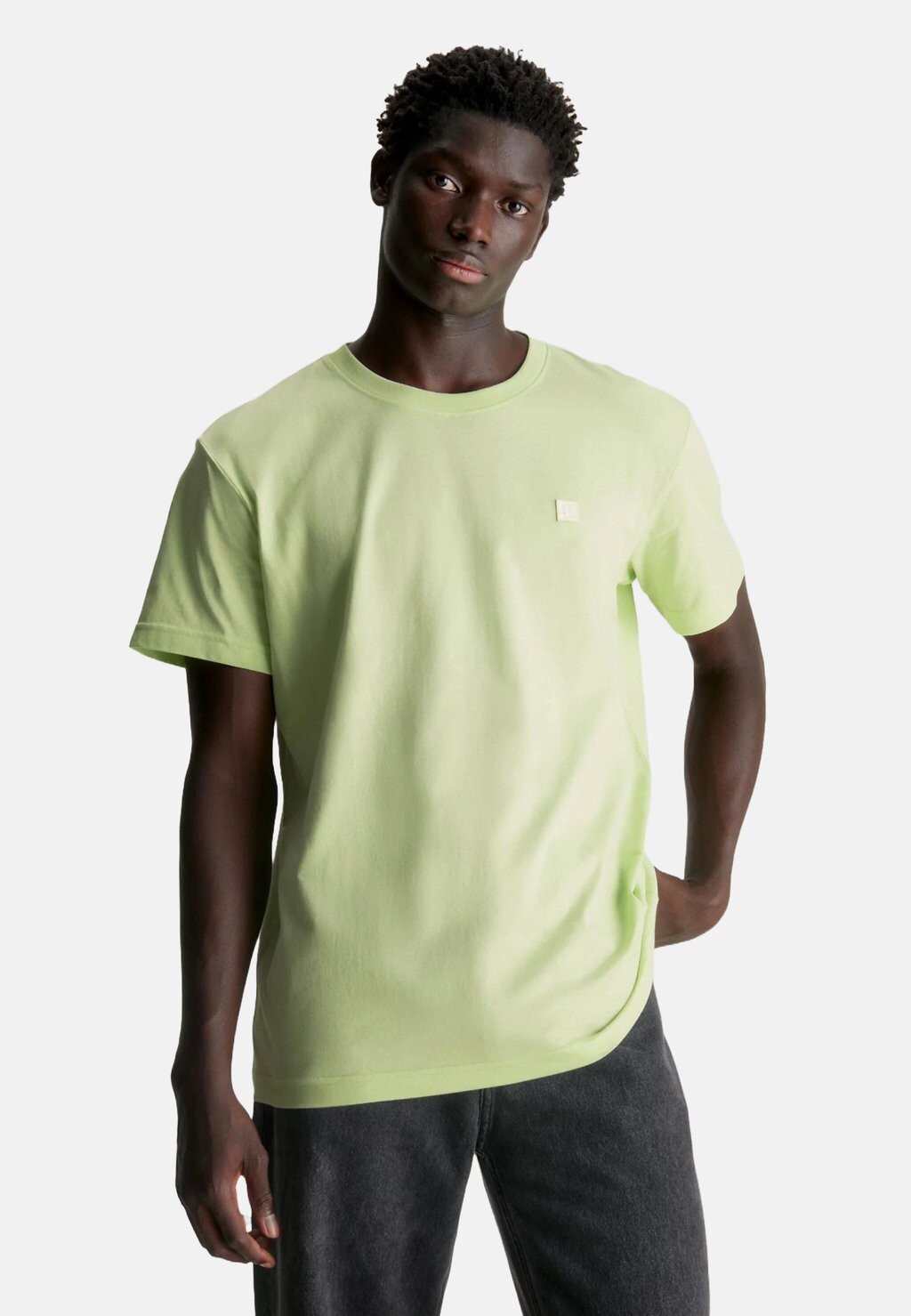 

Базовая футболка Embro Badge Calvin Klein Jeans, цвет exotic mint