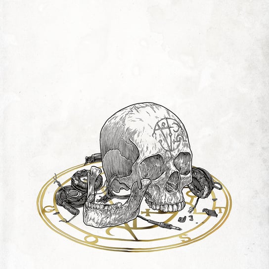 Виниловая пластинка GosT - Skull 2019 цена и фото