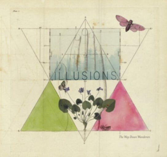 

Виниловая пластинка The Way Down Wanderers - Illusions (Clear Vinyl)