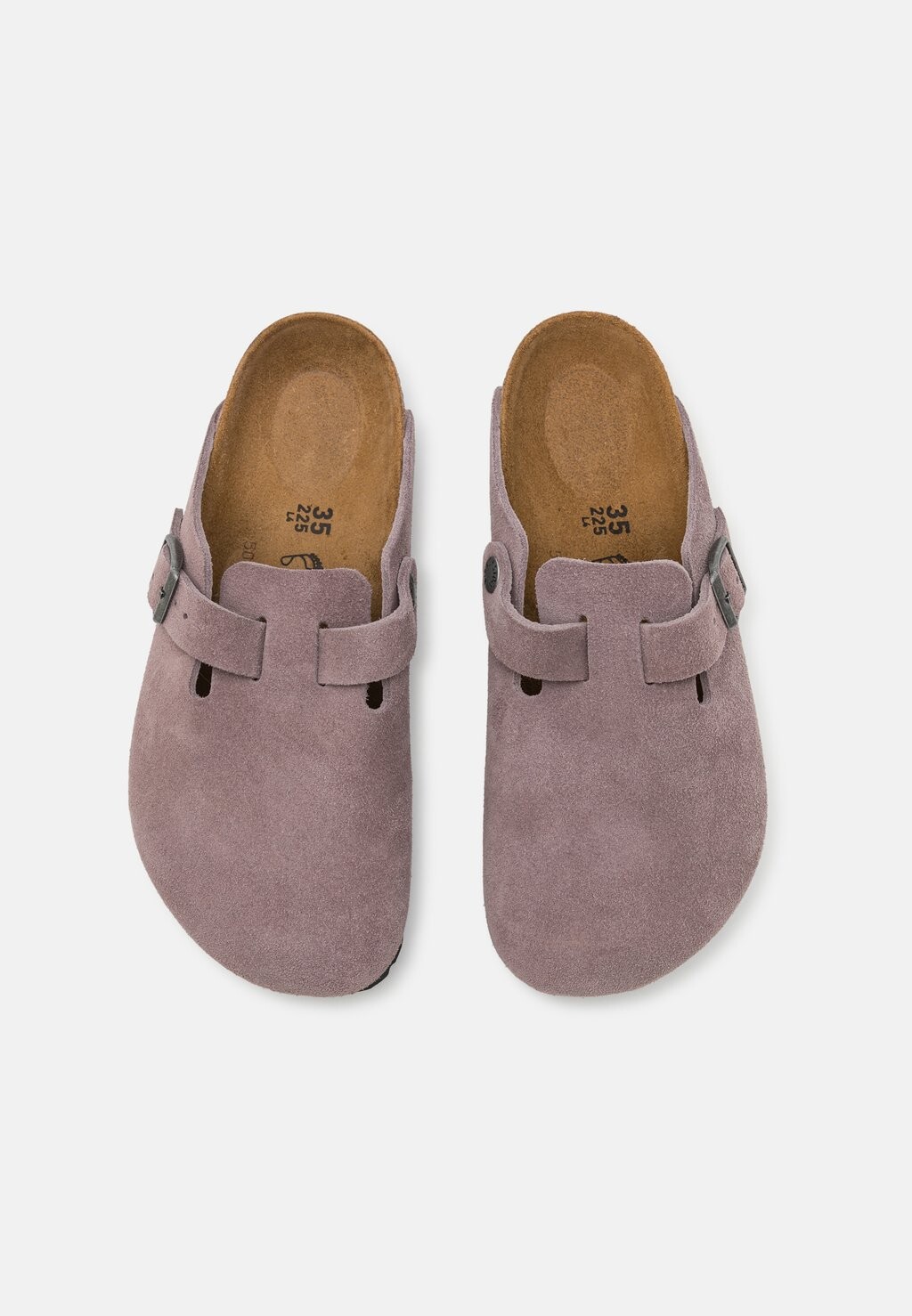 

Тапочки BOSTON LEVE REGULAR UNISEX Birkenstock, фиолетовый