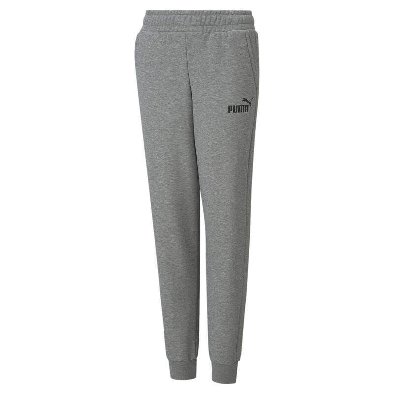 

Брюки для мальчиков PUMA Essentials Logo Medium Grey Heather, цвет gris