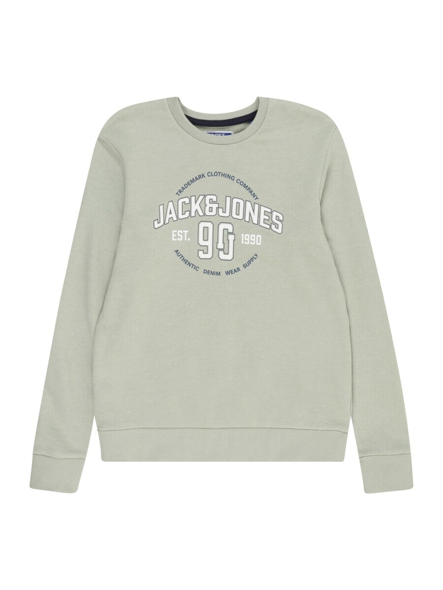 

Толстовка Jack & Jones MINDS, цвет Pastel Green