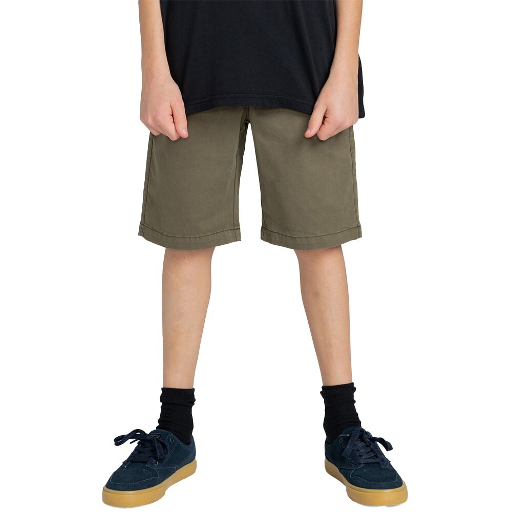 

Шорты Element Howland Classic, зеленый