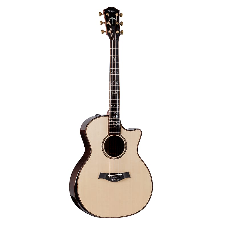 

Акустическая гитара Taylor 914ce Special Edition Acoustic Electric Guitar with Case