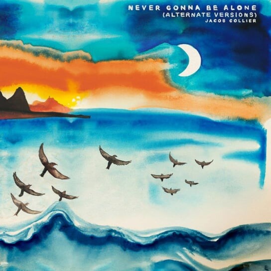 

Виниловая пластинка Collier Jacob - 7-Never Gonna Be Alone