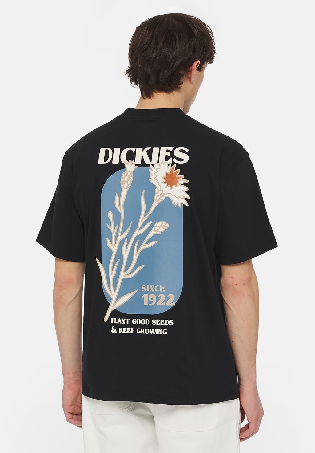 

Футболка с принтом Herndon Tee Dickies, черный