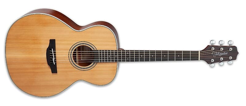

Акустическая гитара Takamine GN20NS